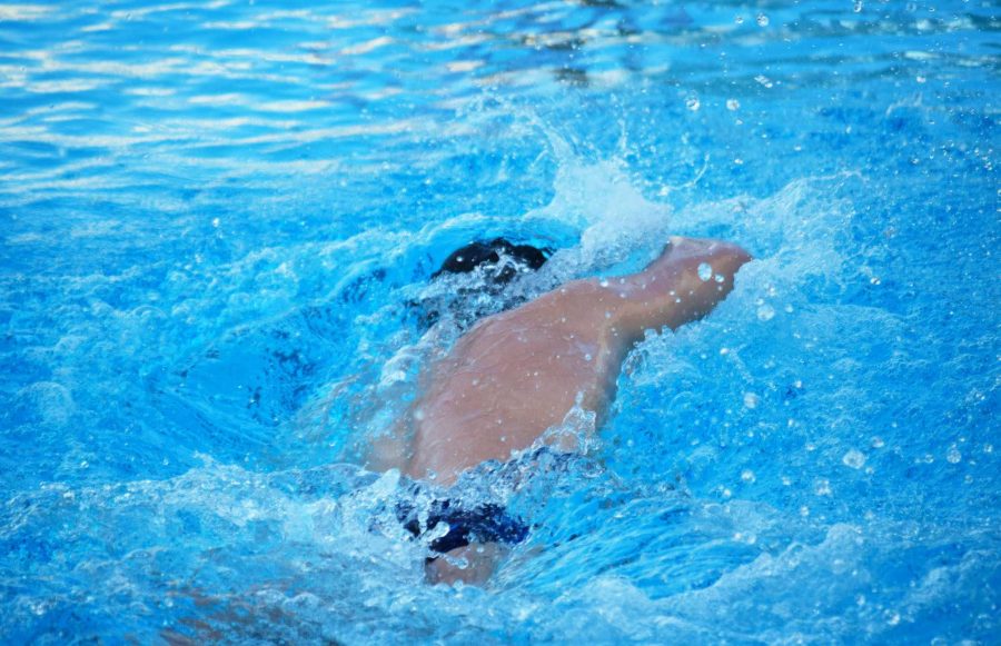 “Oil” Michael Martin (‘17) pushes off from the wall during warm ups at the Las Positas swim invitational, preparing to swim the 100 meter freestyle event. AV scored 5th in the meet.