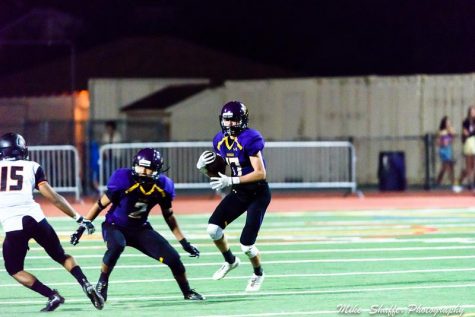 Pigskin Recap