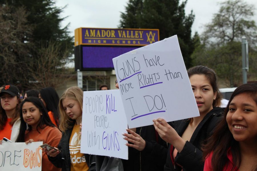 Many signs read the phrase, "Guns have more rights that I do." 