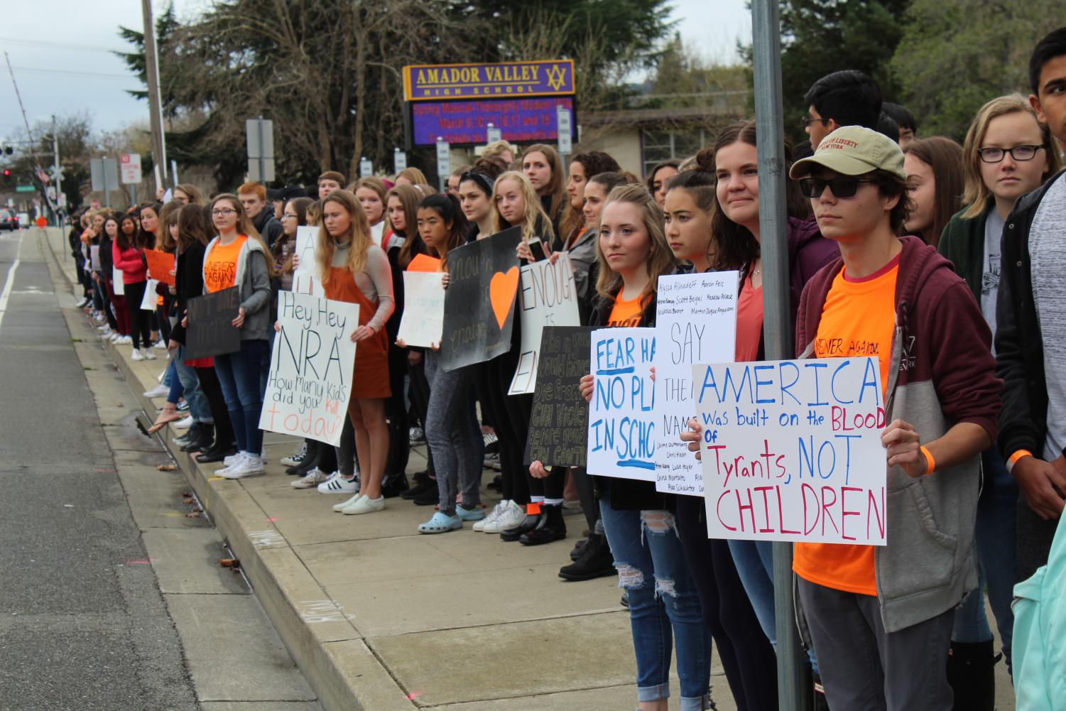Amador Students Join Movement Across Country to Protest for Gun Control
