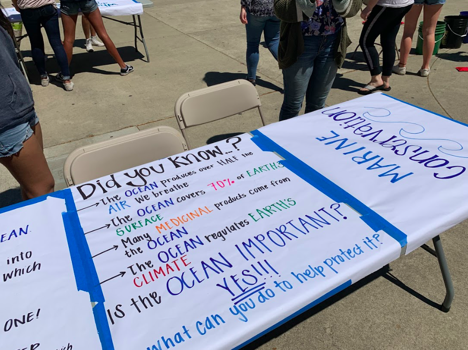 AV Earth Week A Success!