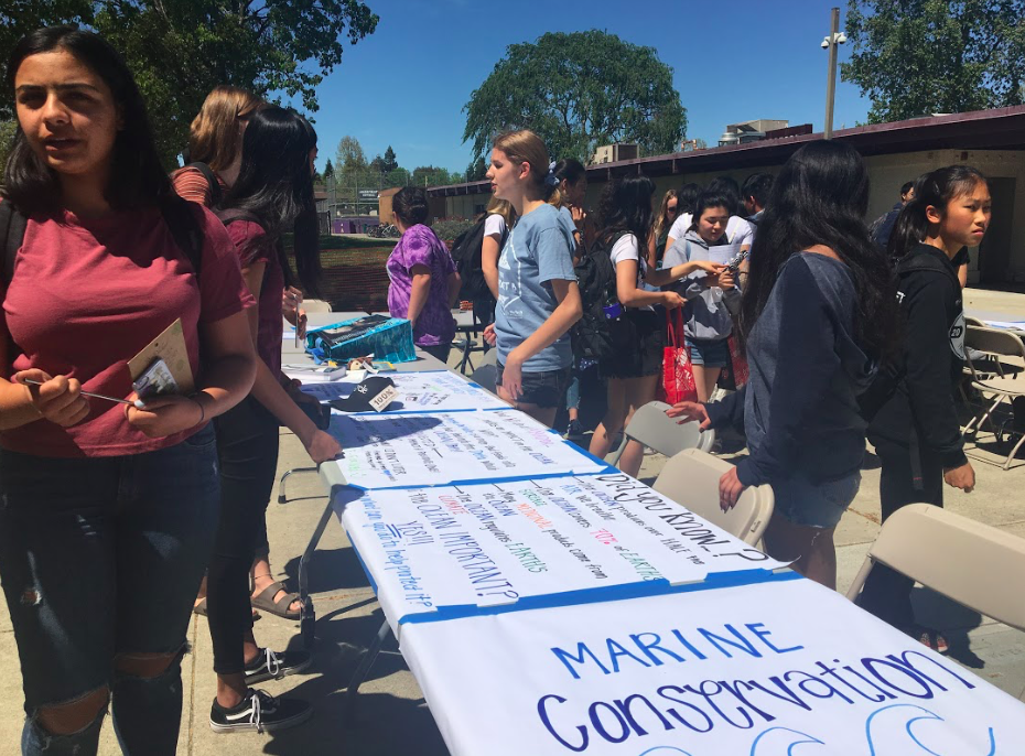 AV Earth Week A Success!