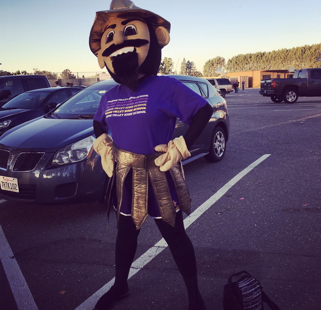 Pigskin Recap