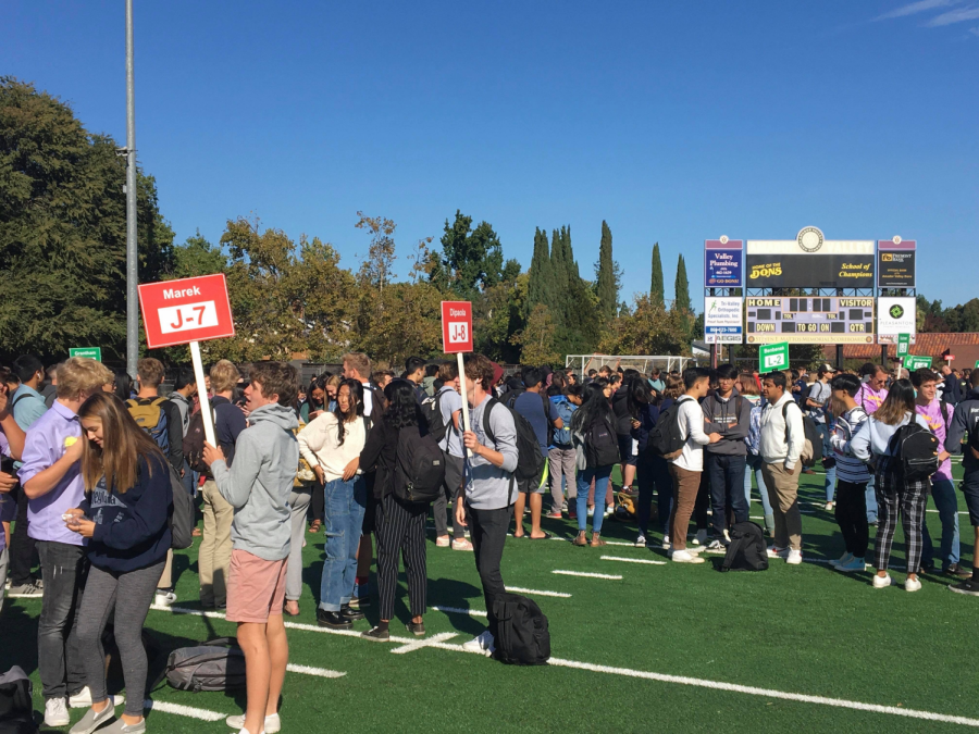 California Shakeout at Amador