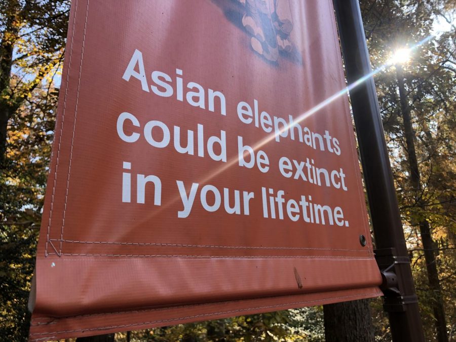 the National zoo helpd prevent extinction. install knowledge among the public.
