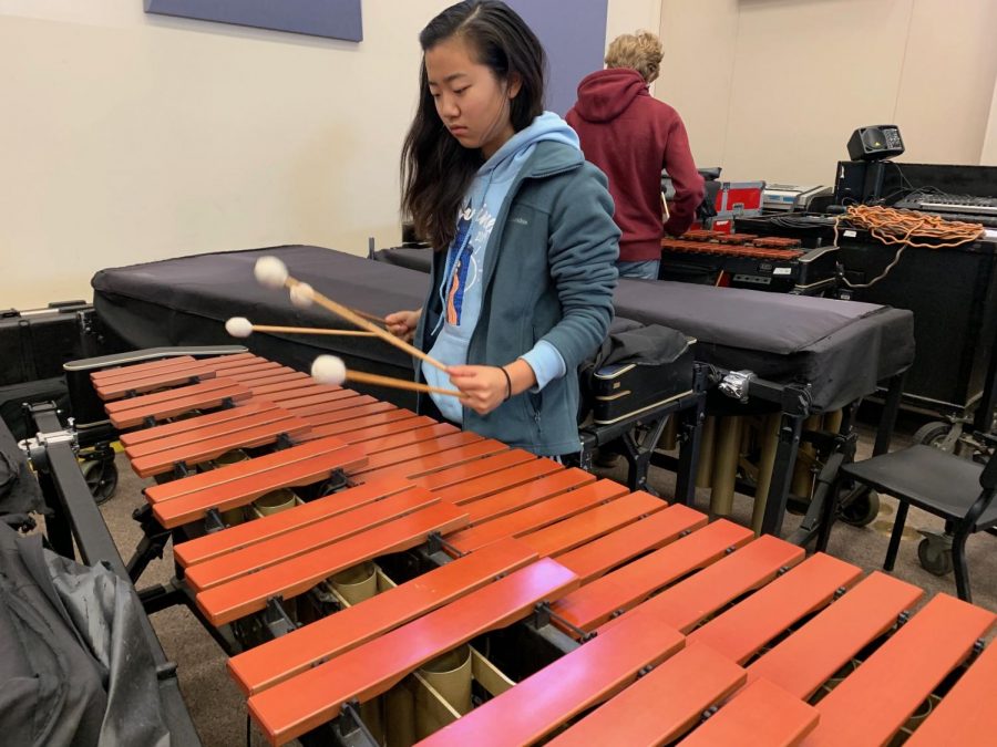 Amadors Winter Percussion season begins