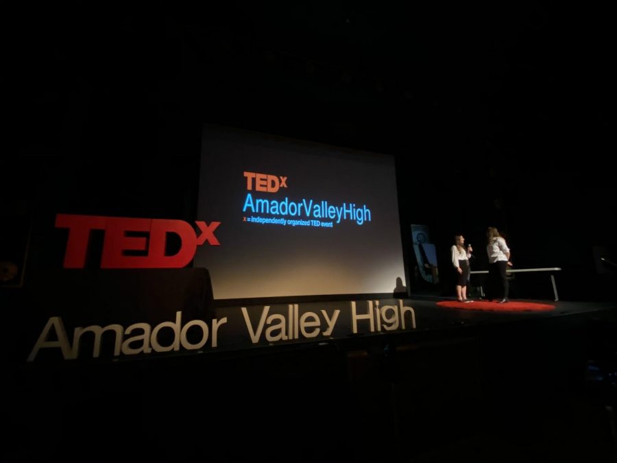 TEDx Amador Valley is a success for its 5th year