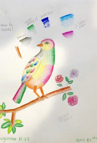 This beautiful bird is a piece of artwork by one of Dhruvi's students.