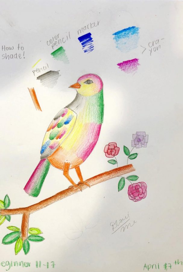 This beautiful bird is a piece of artwork by one of Dhruvi's students.