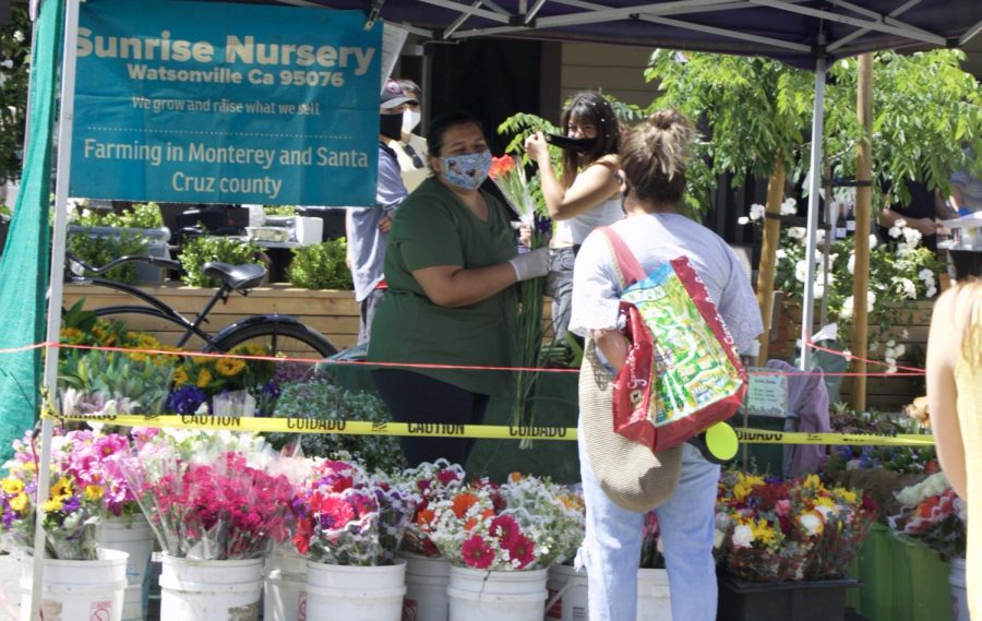 “Since we are a small business, we dont have the big connections to sell to big companies. So all our little stuff we cut down and bunch up and the market allows us to sell and get a little income out of it,” said a worker at Santa Rosa Flowers. 