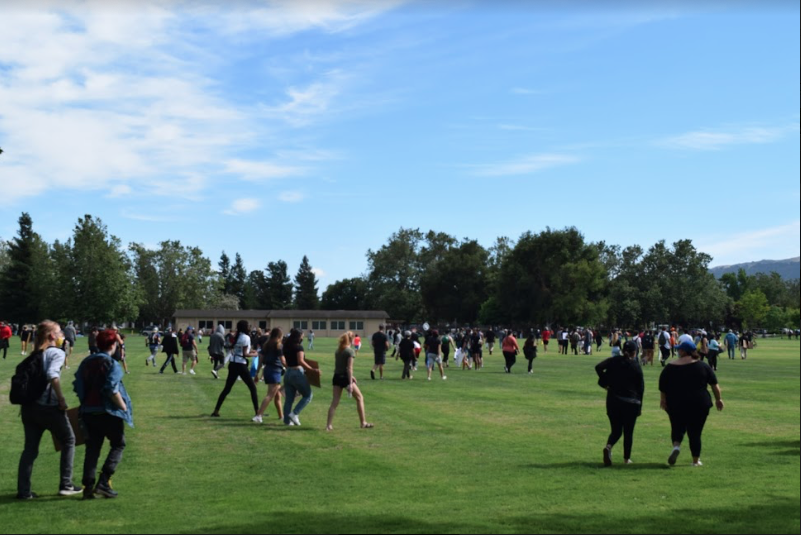 Pleasanton protests for "Black Lives Matter" movement