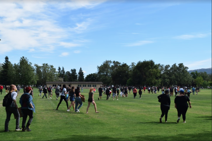 Pleasanton+protests+for+Black+Lives+Matter+movement