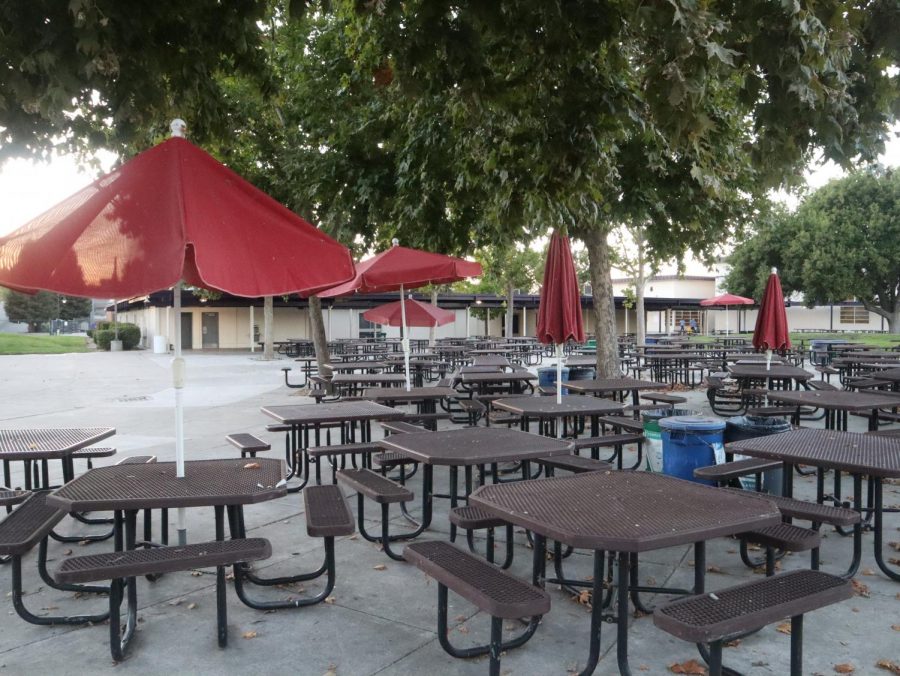 The shade structure will provide shade over this area, meaning that the lunch tables can be spaced further apart. It will extend from the hill to the right over to the senior cafe.