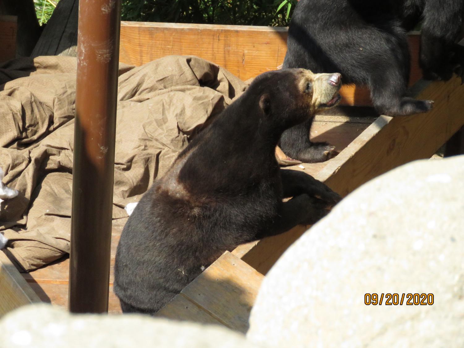 Wonders of the Bay: The Oakland Zoo
