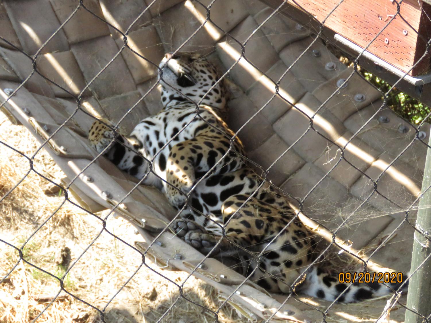 Wonders of the Bay: The Oakland Zoo