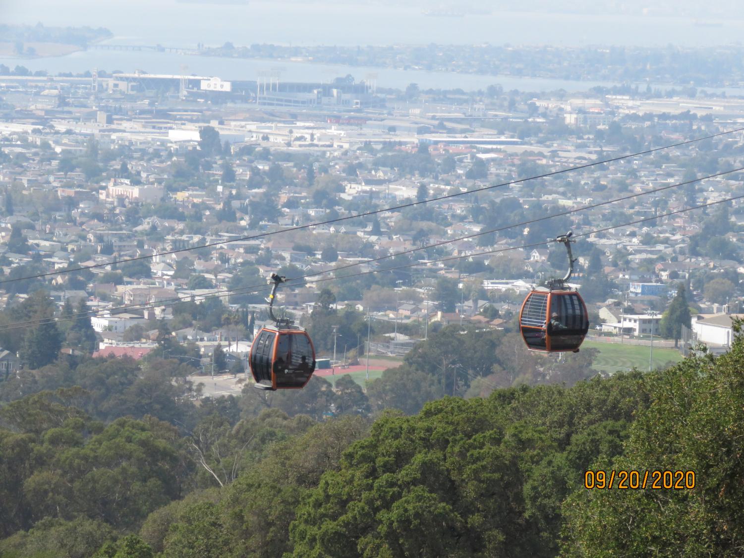 Wonders of the Bay: The Oakland Zoo