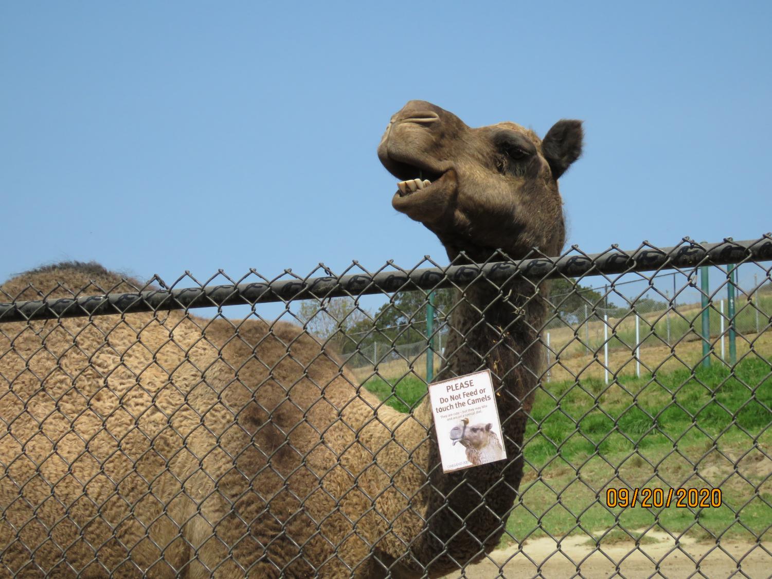 Wonders of the Bay: The Oakland Zoo