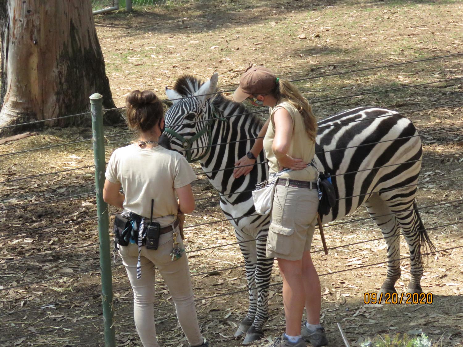 Wonders of the Bay: The Oakland Zoo