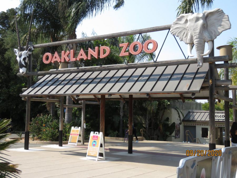 The Oakland Zoo has officially re-opened its doors to the Bay Area, with COVID-19 precautions in place. 