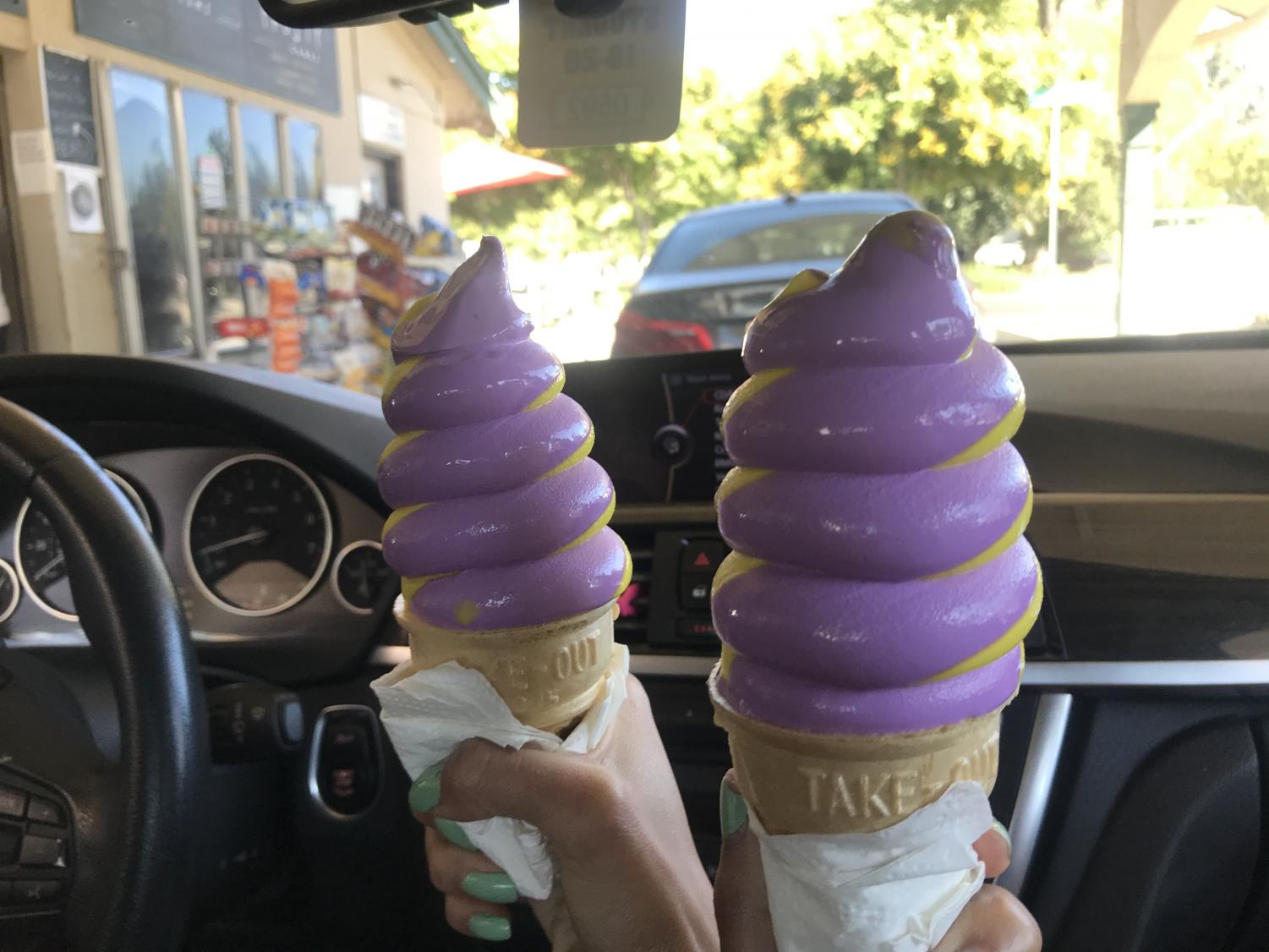 Seniors received free "Amador Swirls" at the downtown dairy!