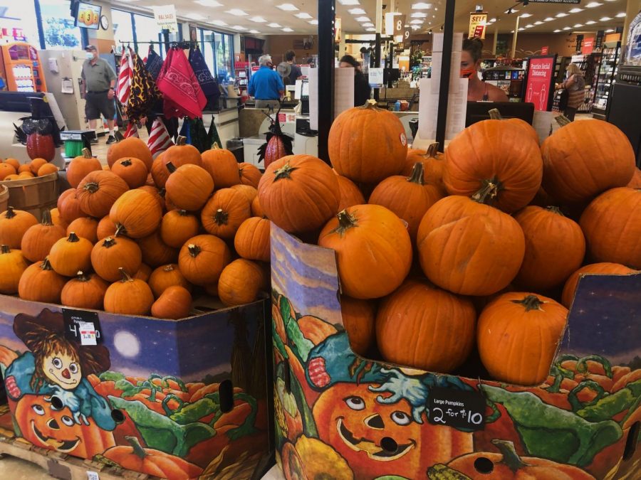 The pumpkin carving contest should be fun for everyone! If you're looking for a pumpkin, you can find plenty at Safeway!