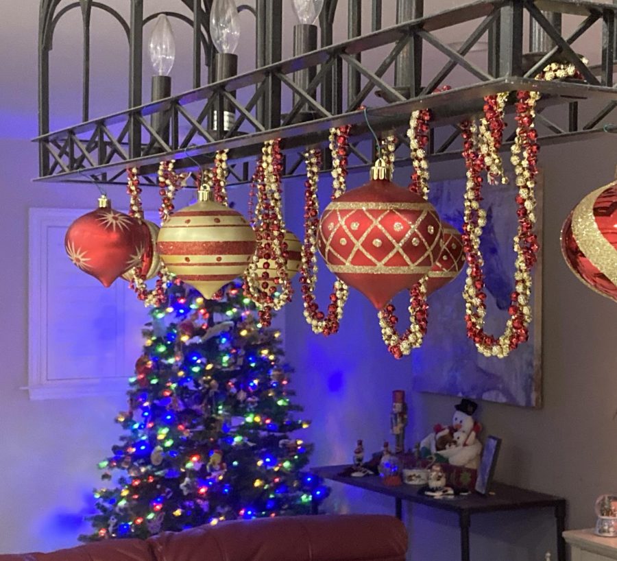 Max Flasck ('22) decorated his house with Christmas ornaments with his family!