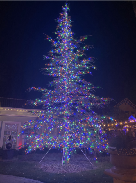 The Christmas tree is lit in front of the Museum on Main for all passersby to admire.
