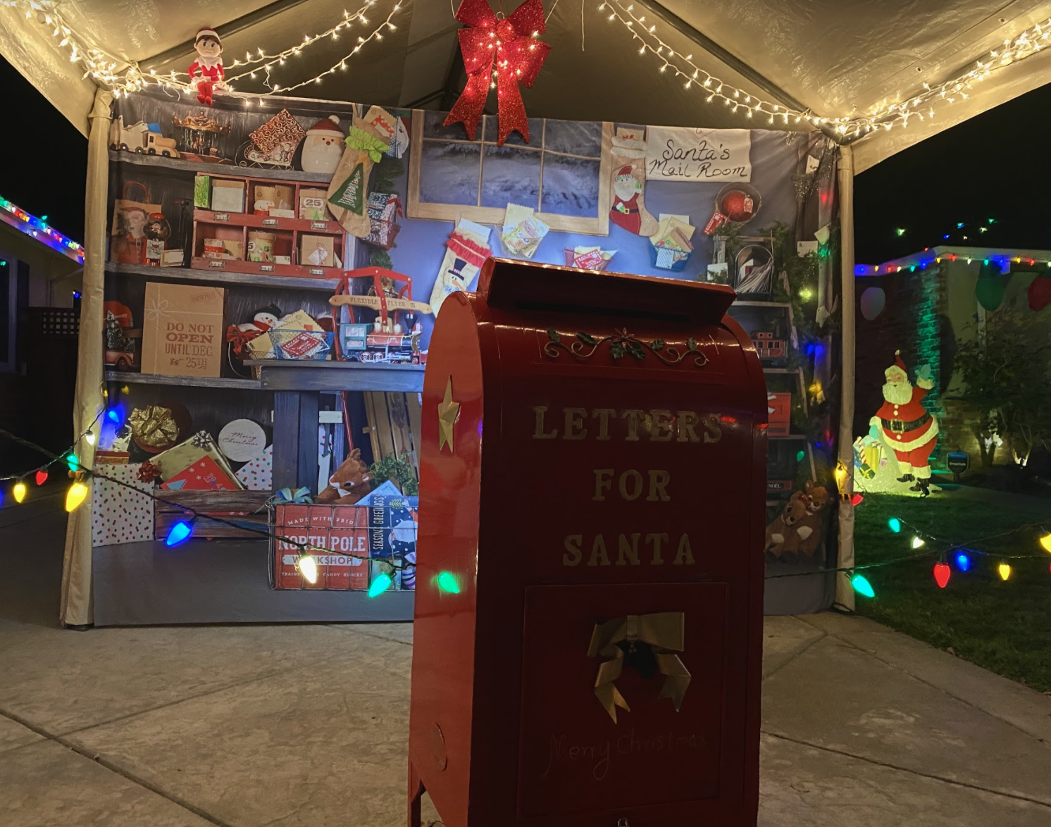 Photo Gallery: Candy Cane Lane