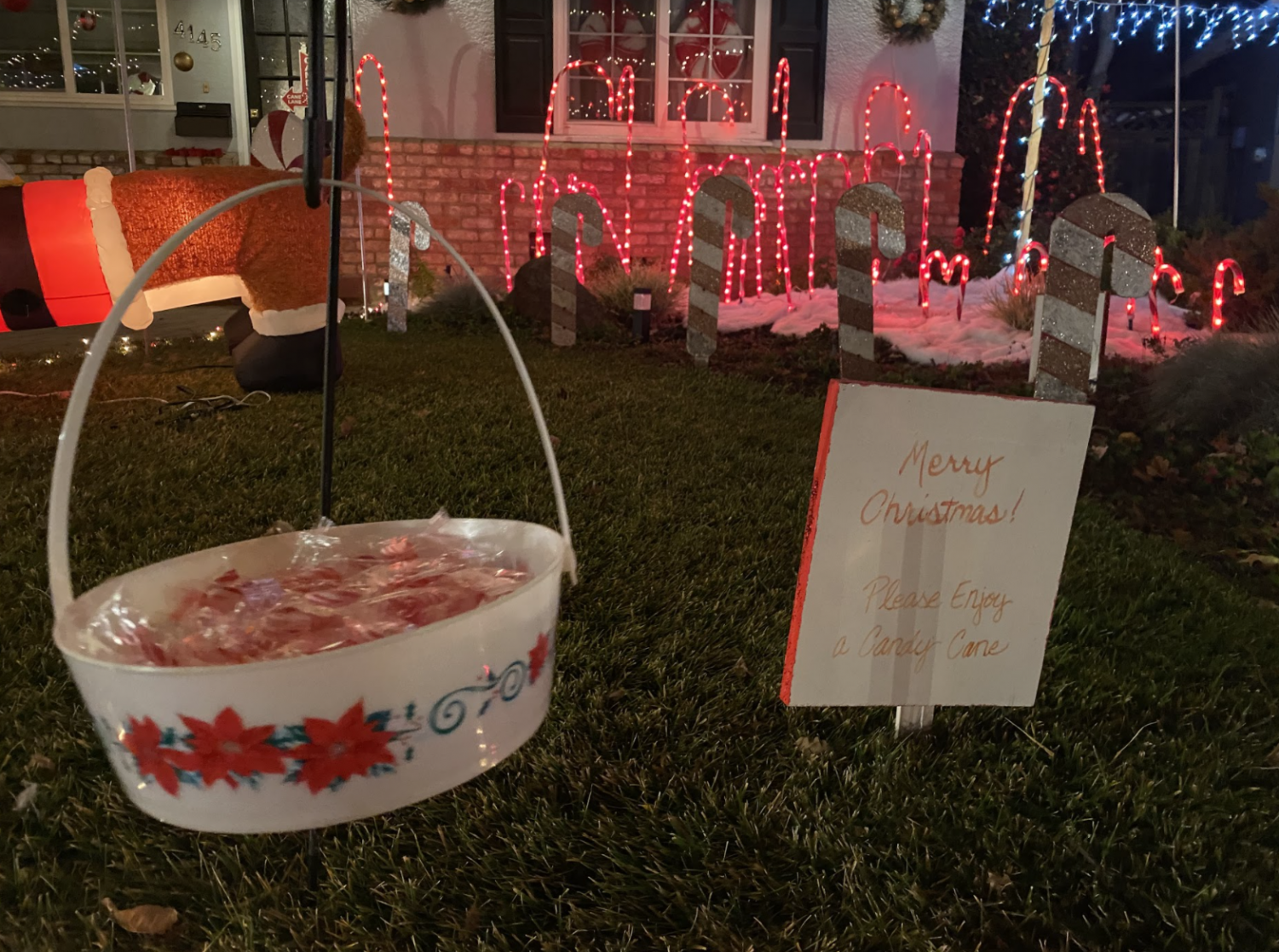 Photo Gallery: Candy Cane Lane