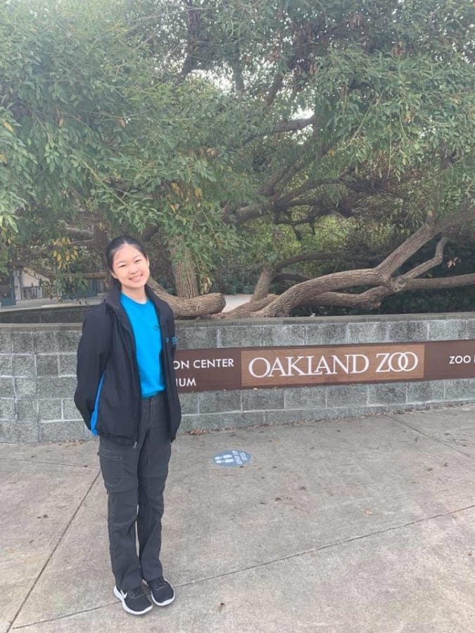 Working at the Oakland Zoo inspired AV junior Jacqueline Lee to bring together working STEM professionals with aspiring students.
