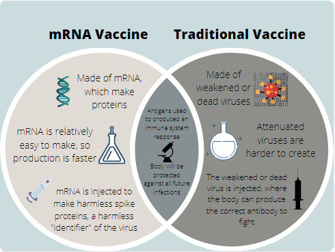 The image shows an image explaining the key similarities and differences between the traditional attenuated vaccines and the new mRNA vaccines. 
