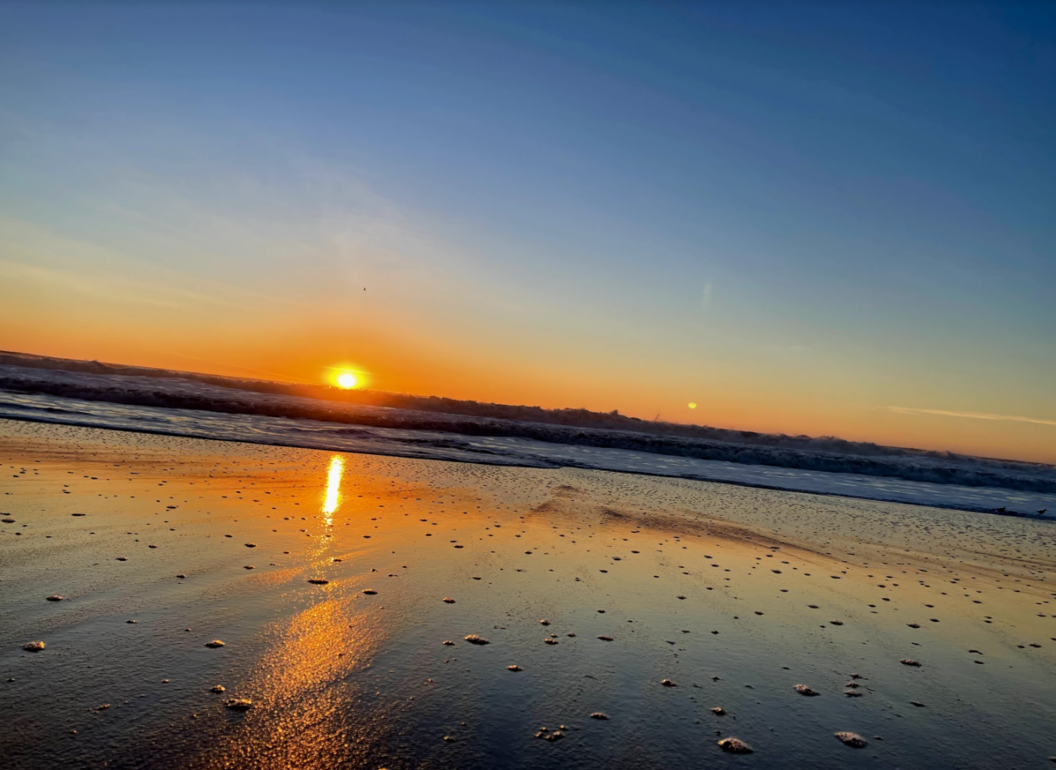 Wonders of the Bay: Half Moon Bay