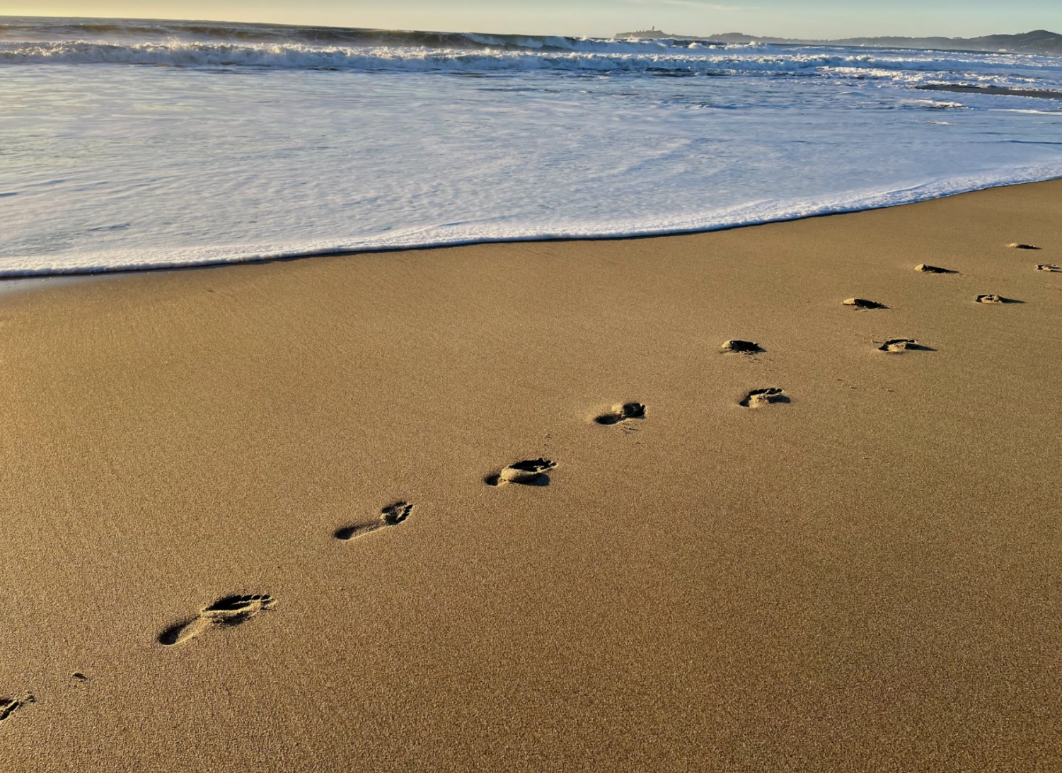 Wonders of the Bay: Half Moon Bay