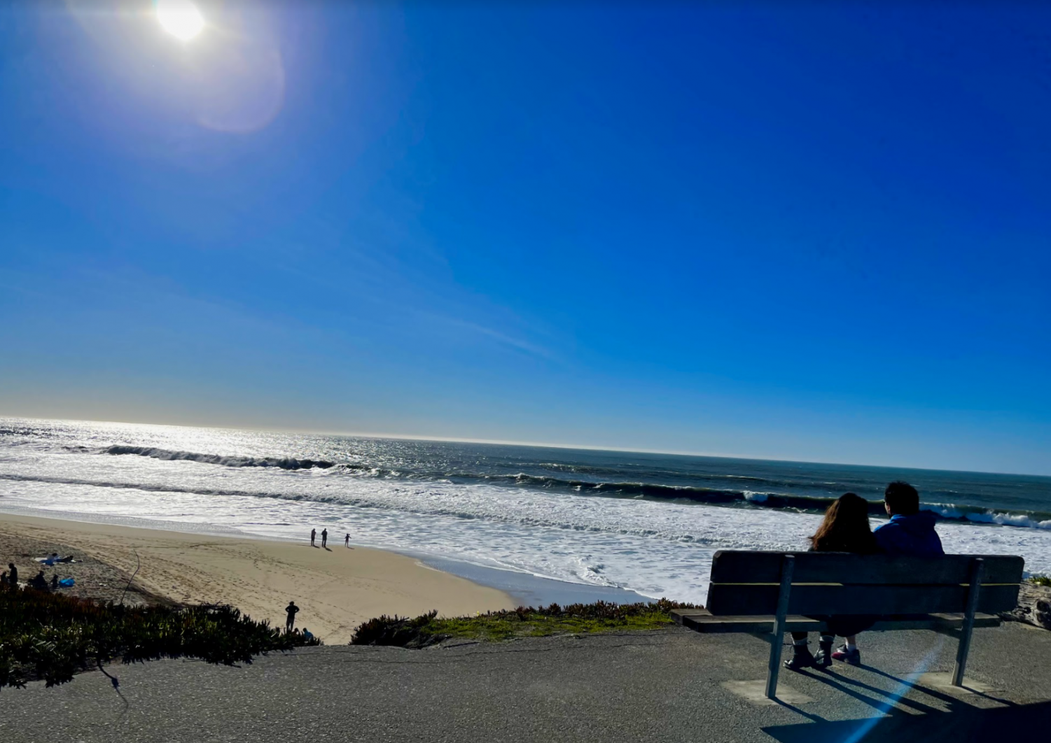 Wonders of the Bay: Half Moon Bay
