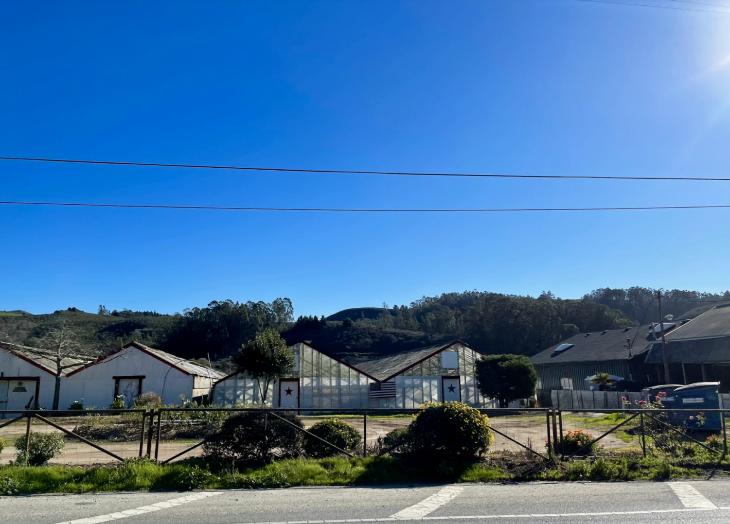 Wonders of the Bay: Half Moon Bay