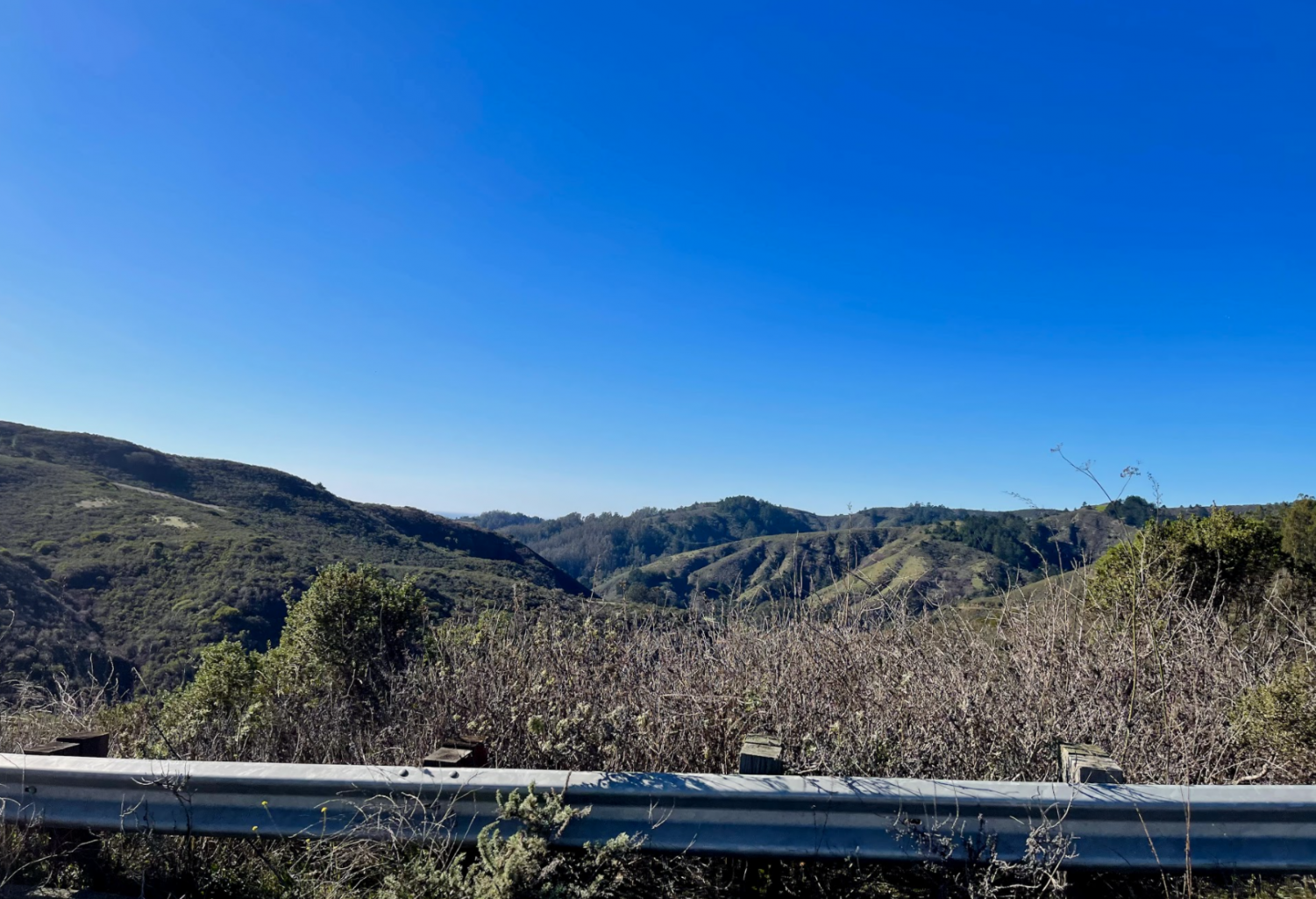 Wonders of the Bay: Half Moon Bay