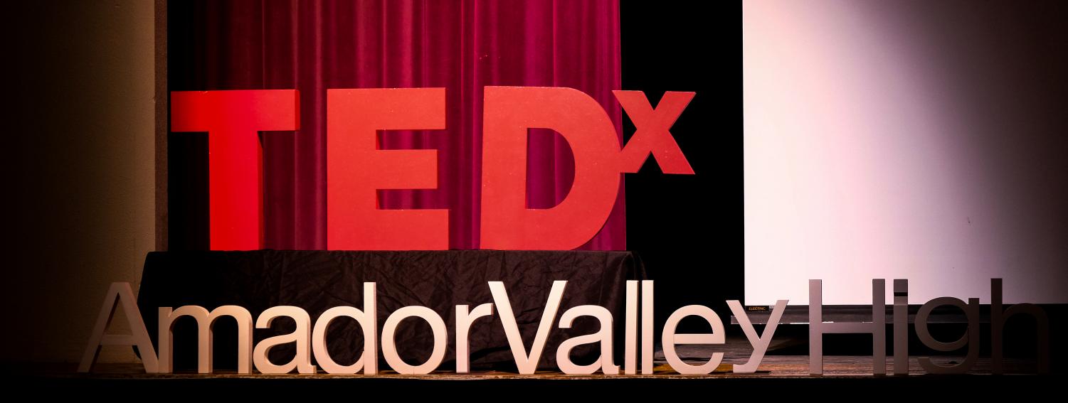 TEDx 2021: A Day in Photos