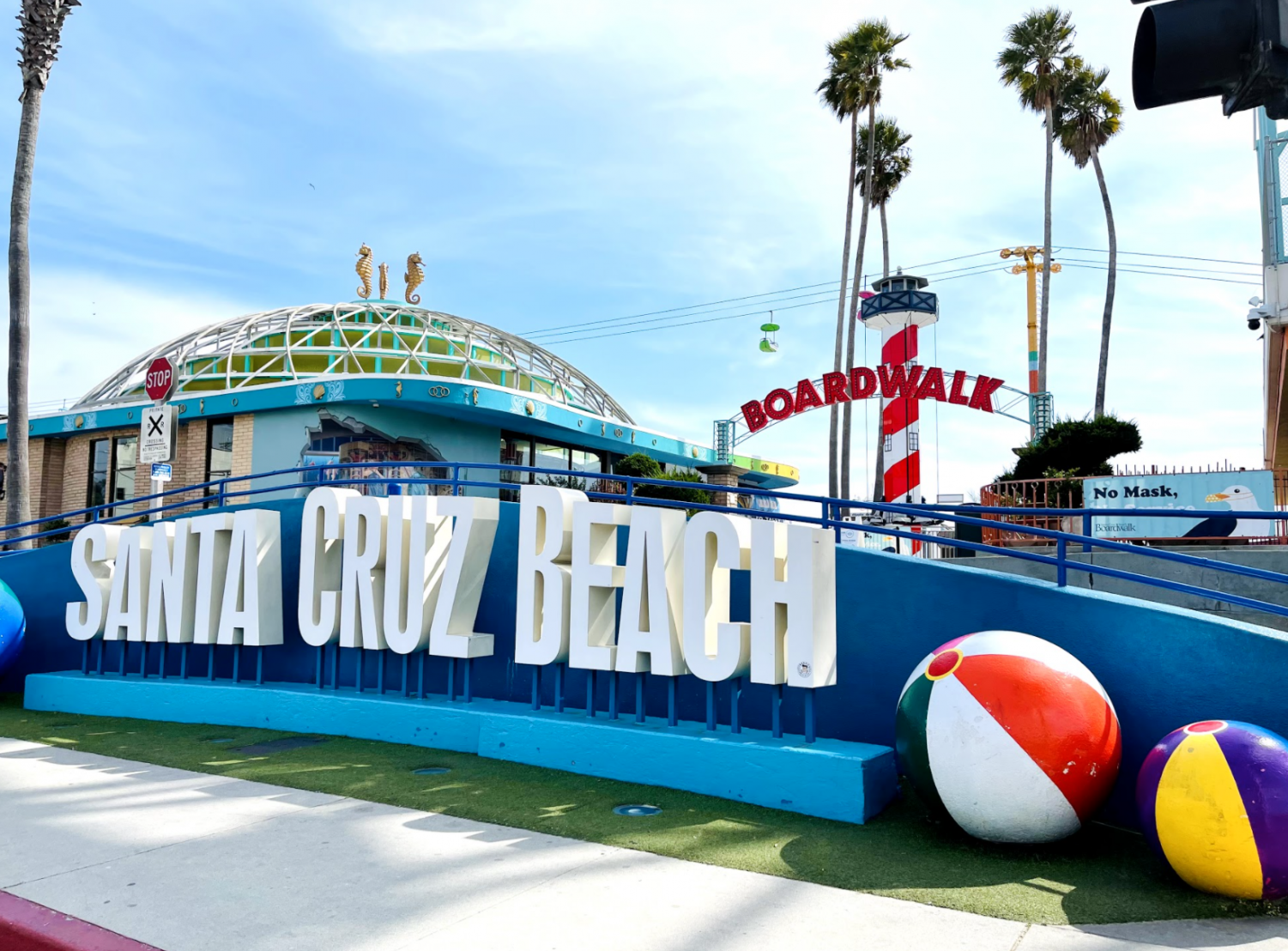 Wonders of the Bay- Santa Cruz