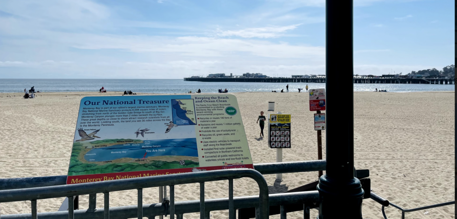Wonders of the Bay- Santa Cruz