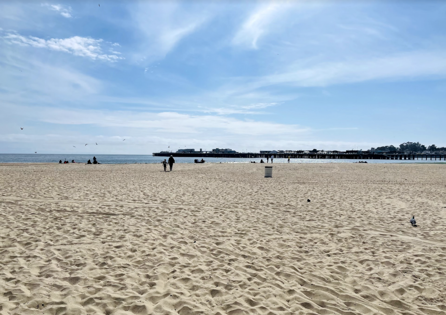 Wonders of the Bay- Santa Cruz