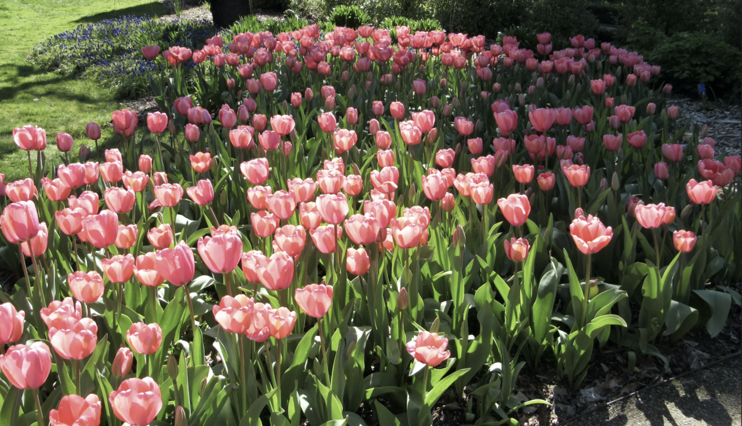 Filoli Historic House and Garden