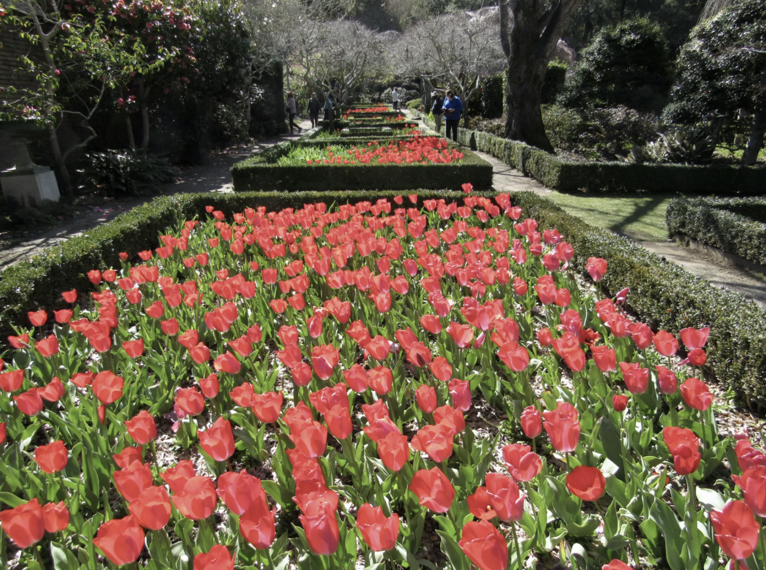 Filoli Historic House and Garden
