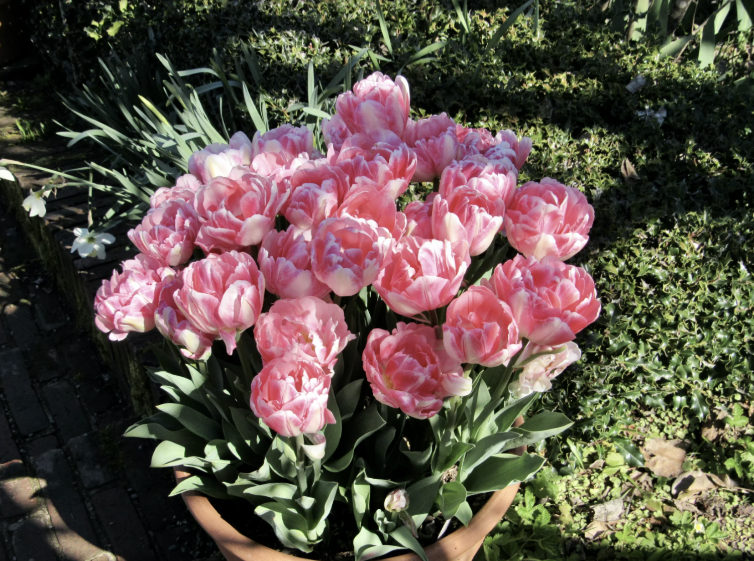 Filoli Historic House and Garden