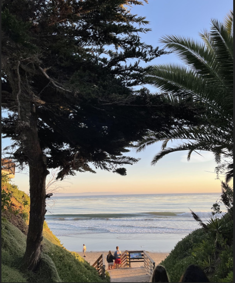 California beach day, snow the next!