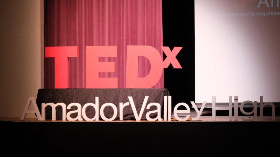 TEDx 2021: A Day in Photos