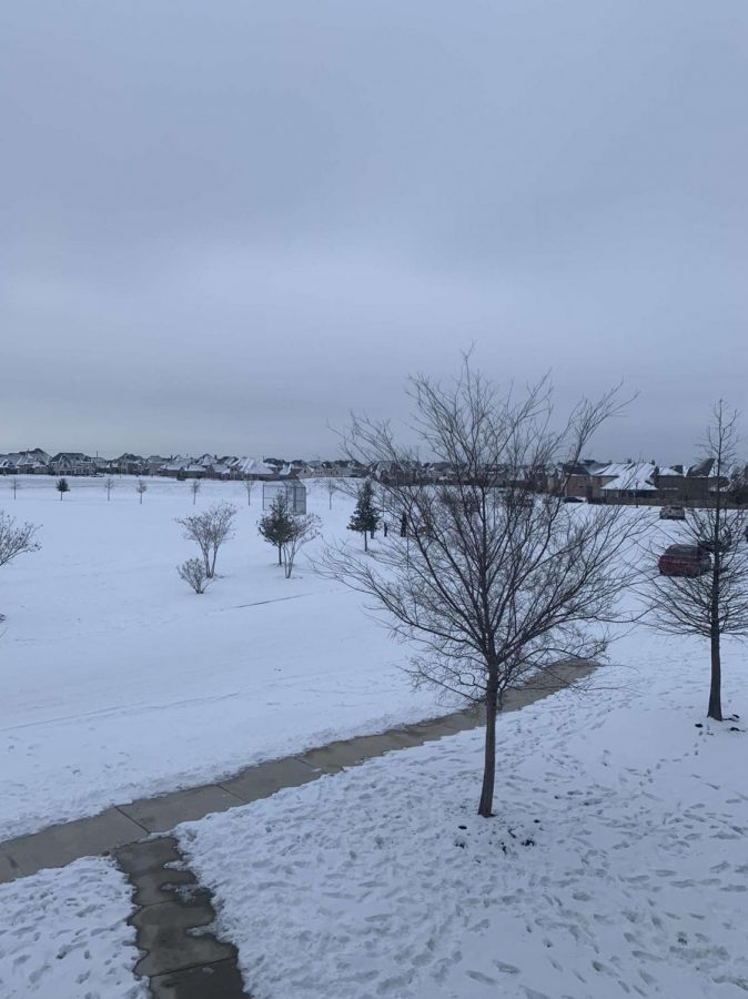 Texans are rushing to local grocery stores to get supply and to prepare for further snow storms.