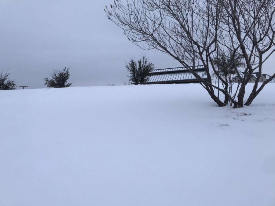 Texas receives inches of snow just overnight, covering its usually dry ground with a layer of white.