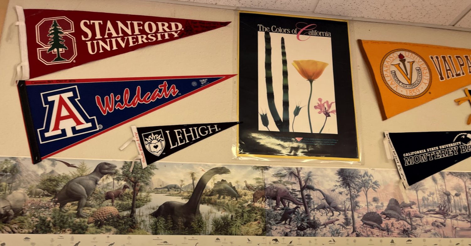 Decision Day