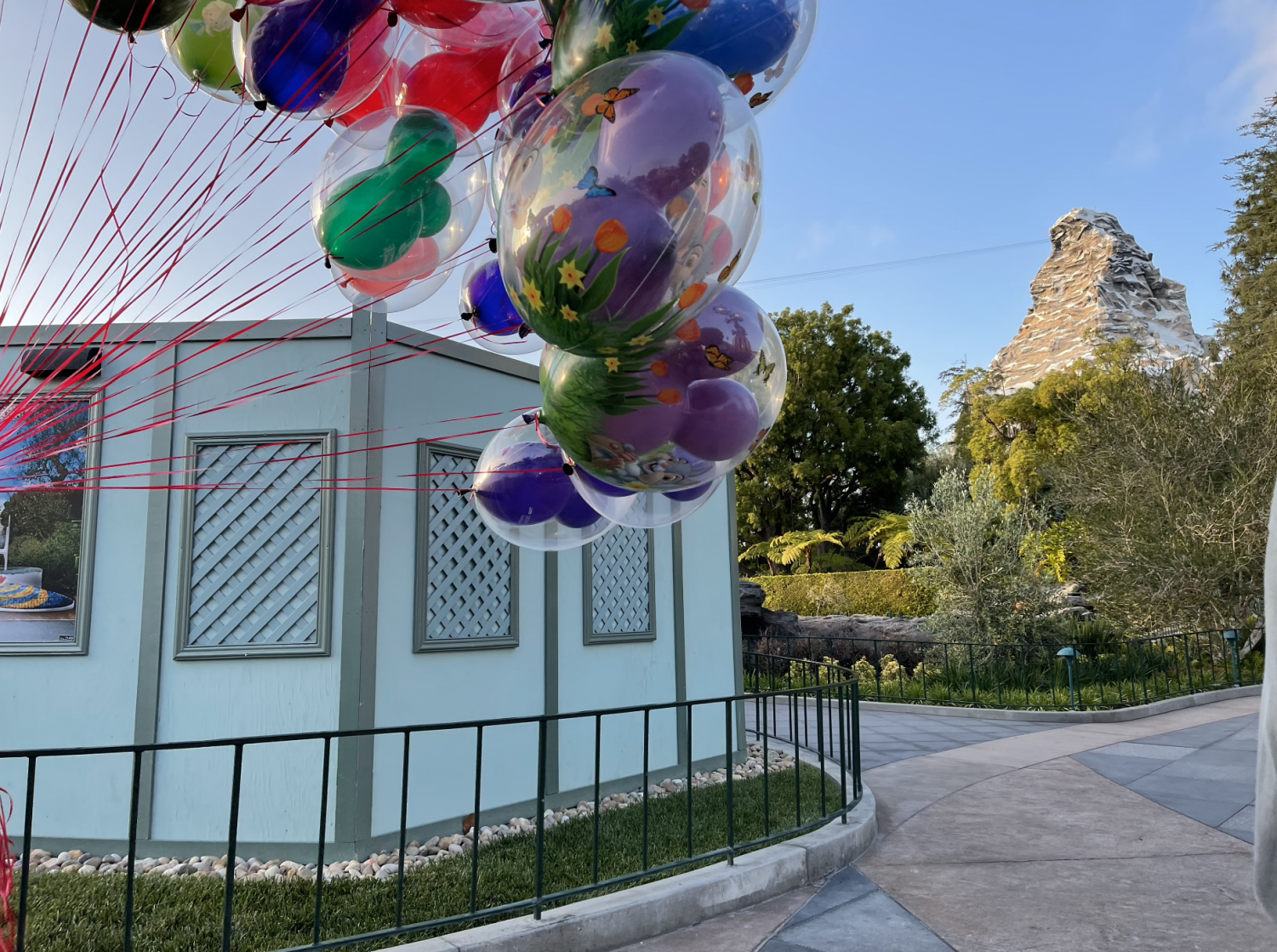 DisneyLand Reopening