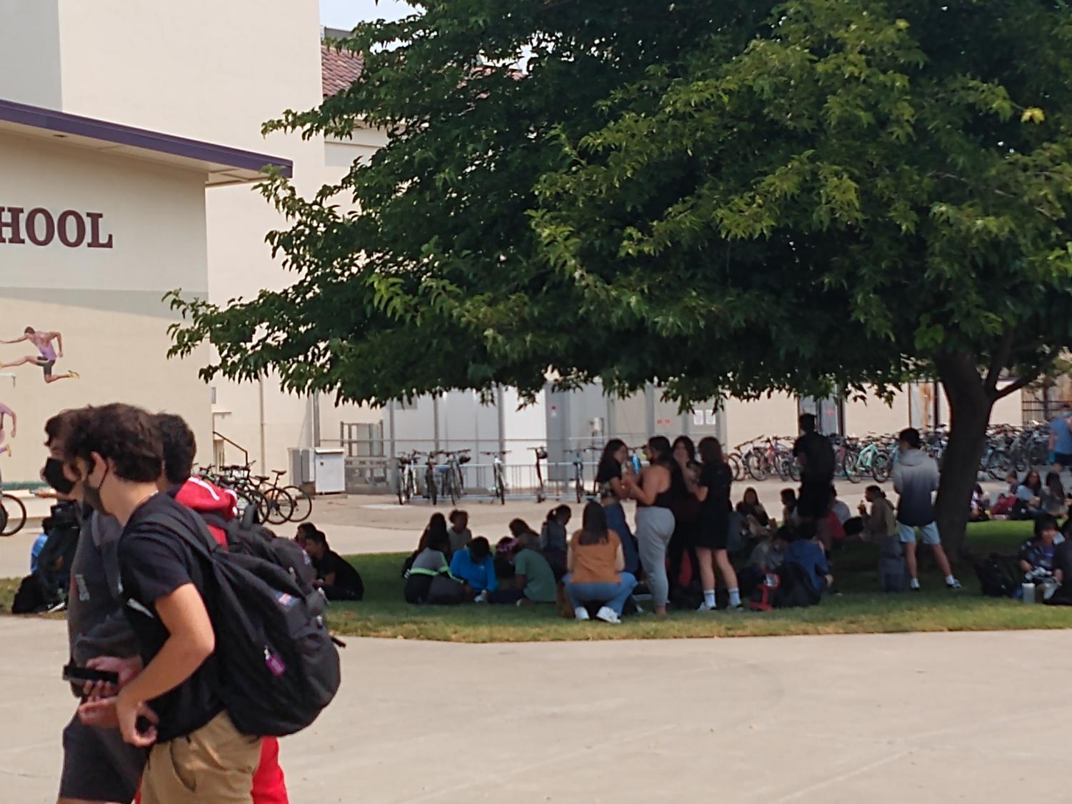 How do students maintain social distancing during lunch?